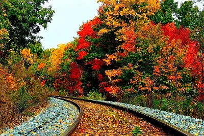Nature jigsaw puzzle