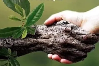 NATURALEZA