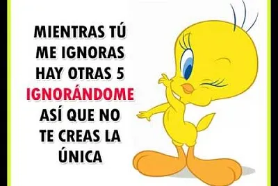 PIOLIN