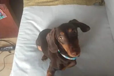 alfonso