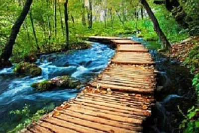 Foto jigsaw puzzle