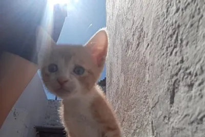 tyron en la escalera