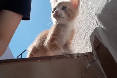 tyron en la escalera