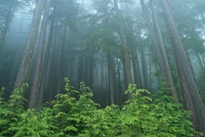 Habitad jigsaw puzzle