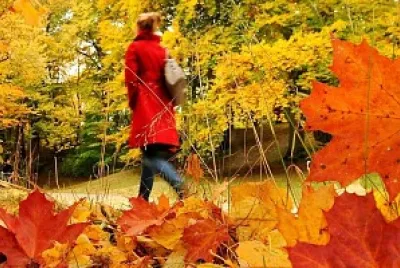 Promenade jigsaw puzzle