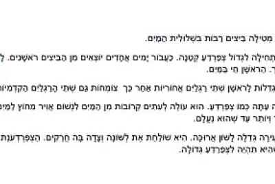 ×¦×¤×¨×“×¢