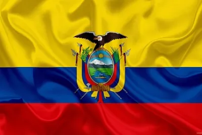 Arma el rompecabezas y descubre la imagen.