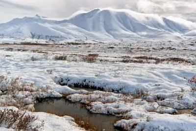 Tundra