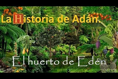 LA HISTORIA jigsaw puzzle