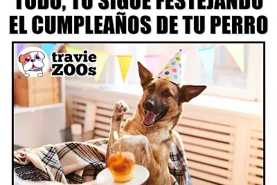 muy cierto