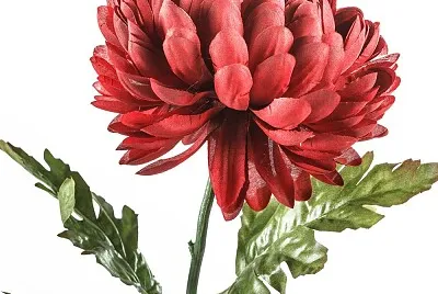 Crizantema jigsaw puzzle