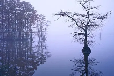 reflet
