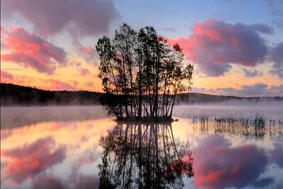 reflet