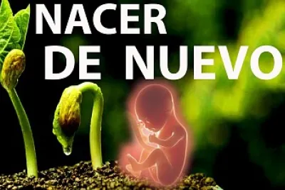פאזל של NACER DE NUEVO