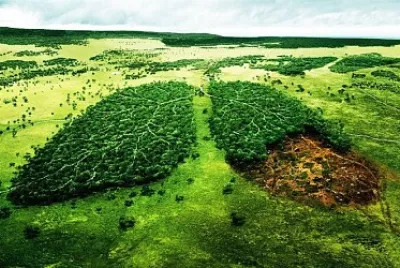 conciencia jigsaw puzzle