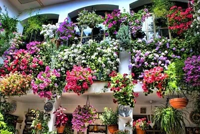 CÃ³rdoba jigsaw puzzle