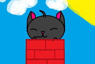 gato negro