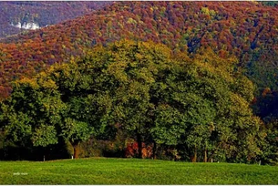 autunno in lessinia ,Verona jigsaw puzzle