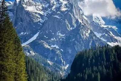 VECINAL