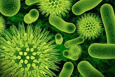 virus