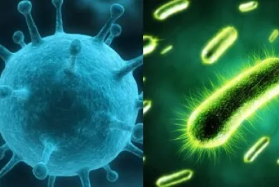 virus y bacterias