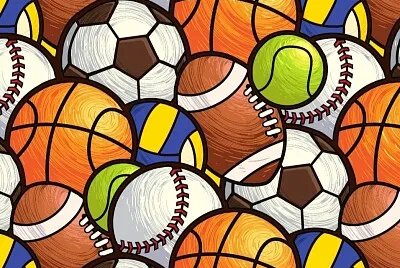 pelotas jigsaw puzzle