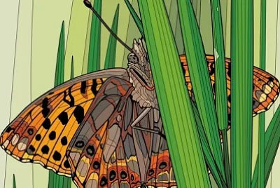 MARIPOSA