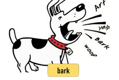 bark