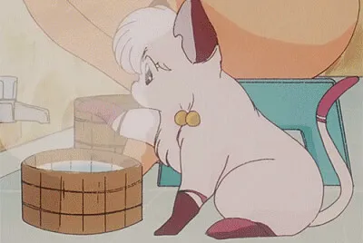 shampoo transformada en gatita ranma 1/2