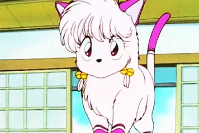 shampoo gatita ranma 1/2 jigsaw puzzle