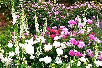Mottisfons Angleterre