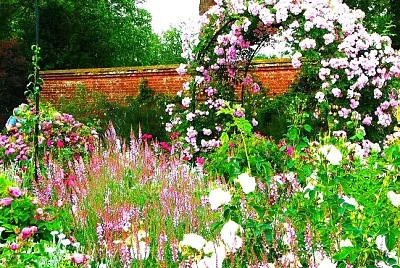 Mottisfons jardin des roses