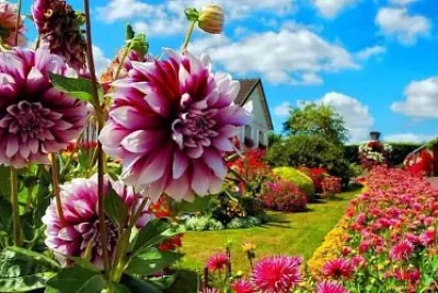 imagem jigsaw puzzle