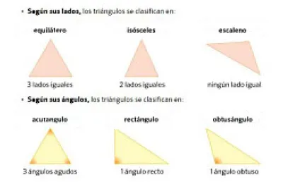 12 piezas