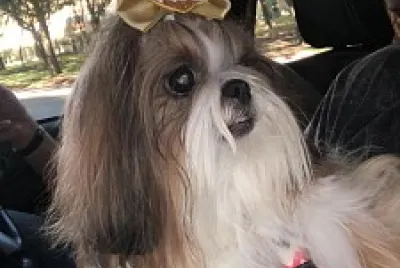 Mabel