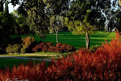 tavolozza di colori Parco SigurtÃ  , Verona jigsaw puzzle