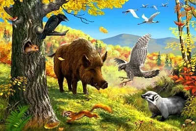 Toamna in padure jigsaw puzzle