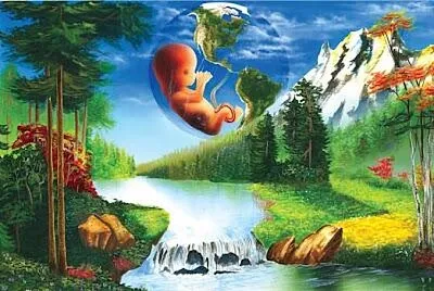 salud ambiental