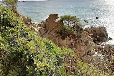 paysage