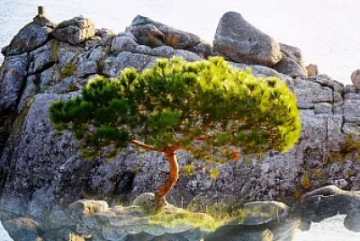 PalamÃ³s espaÃ±a