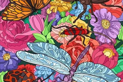 colorido