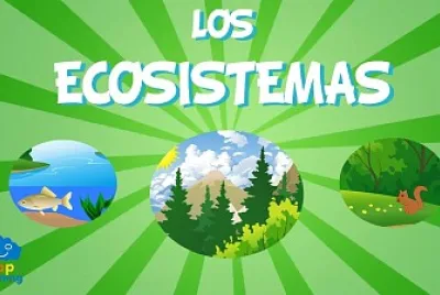 realizar el rompecabeza