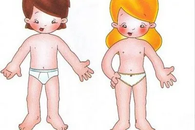 Cuerpo humano