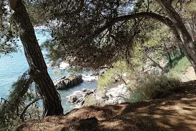 paysage