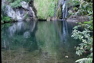 Rios y Arroyos