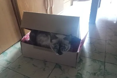 Encajada....