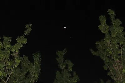 ×™×¨×— ×•×›×•×›×‘ ×‘×•×“×“ ×ž×¢×œ ×”×¢×¦×™×...