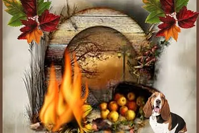 Bel automne