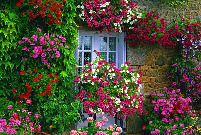 JardÃ­n vertical jigsaw puzzle