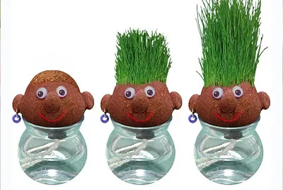 Cara Planta
